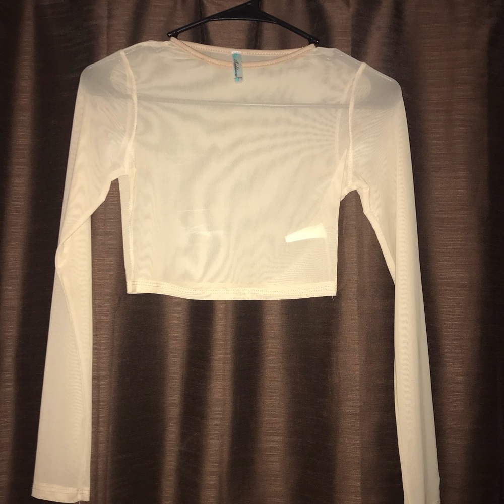 Long sleeve Mesh crop top