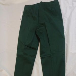 Green Straight Leg Pants with STRETCH 10 Medium