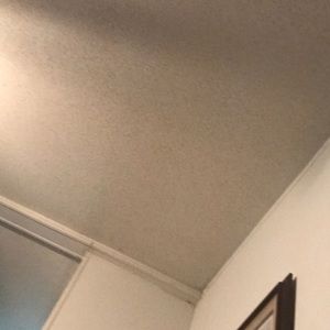 Meet your Posher, Dillon