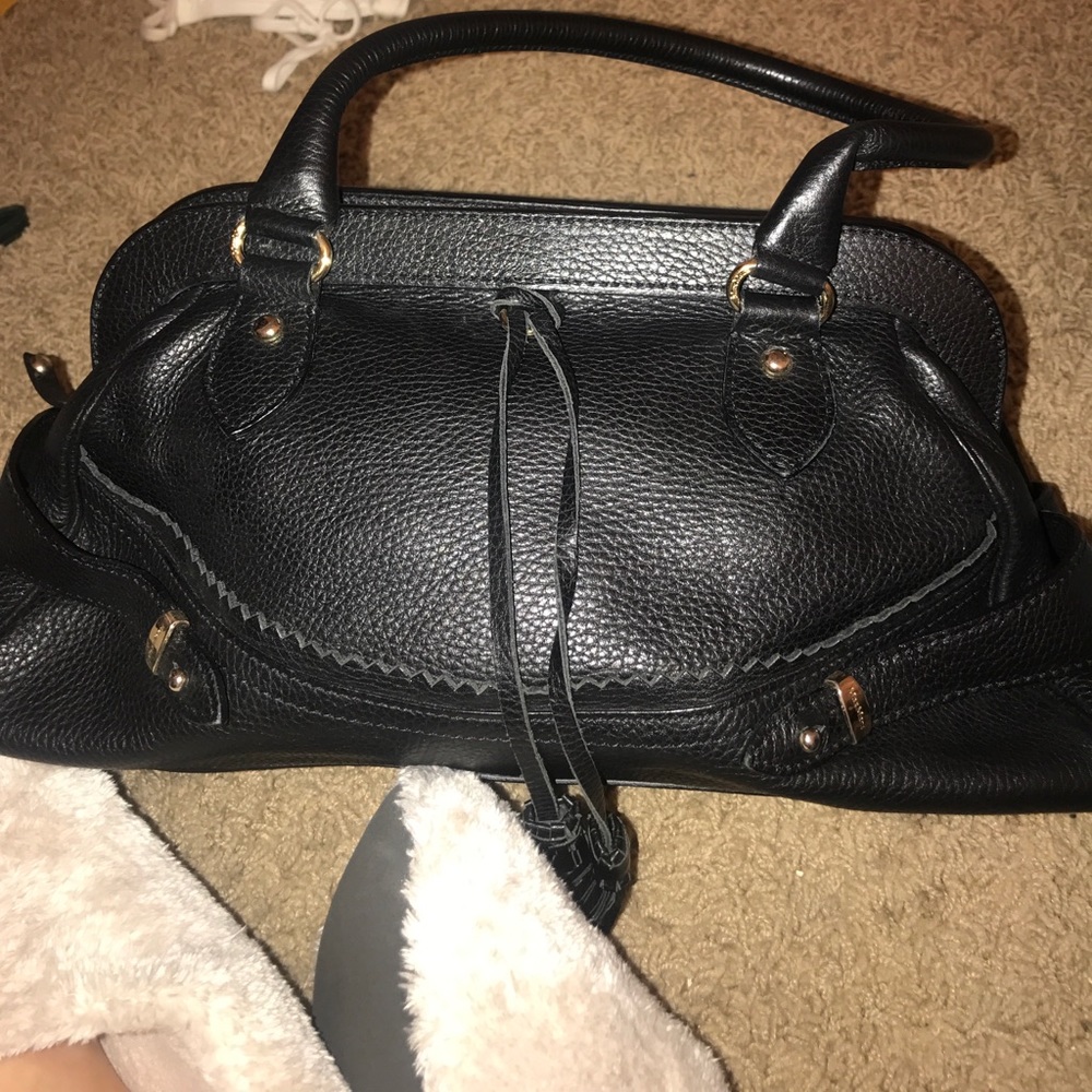 Max Mara purse
