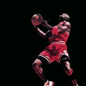 Meet your Posher, Ronnie