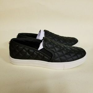 NWT Steve Madden Sneakers