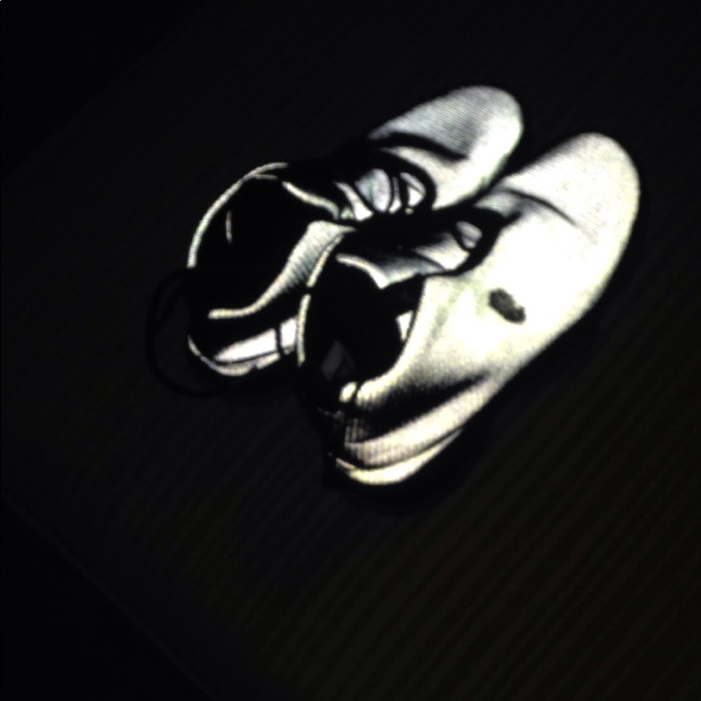 Reflective jordans
