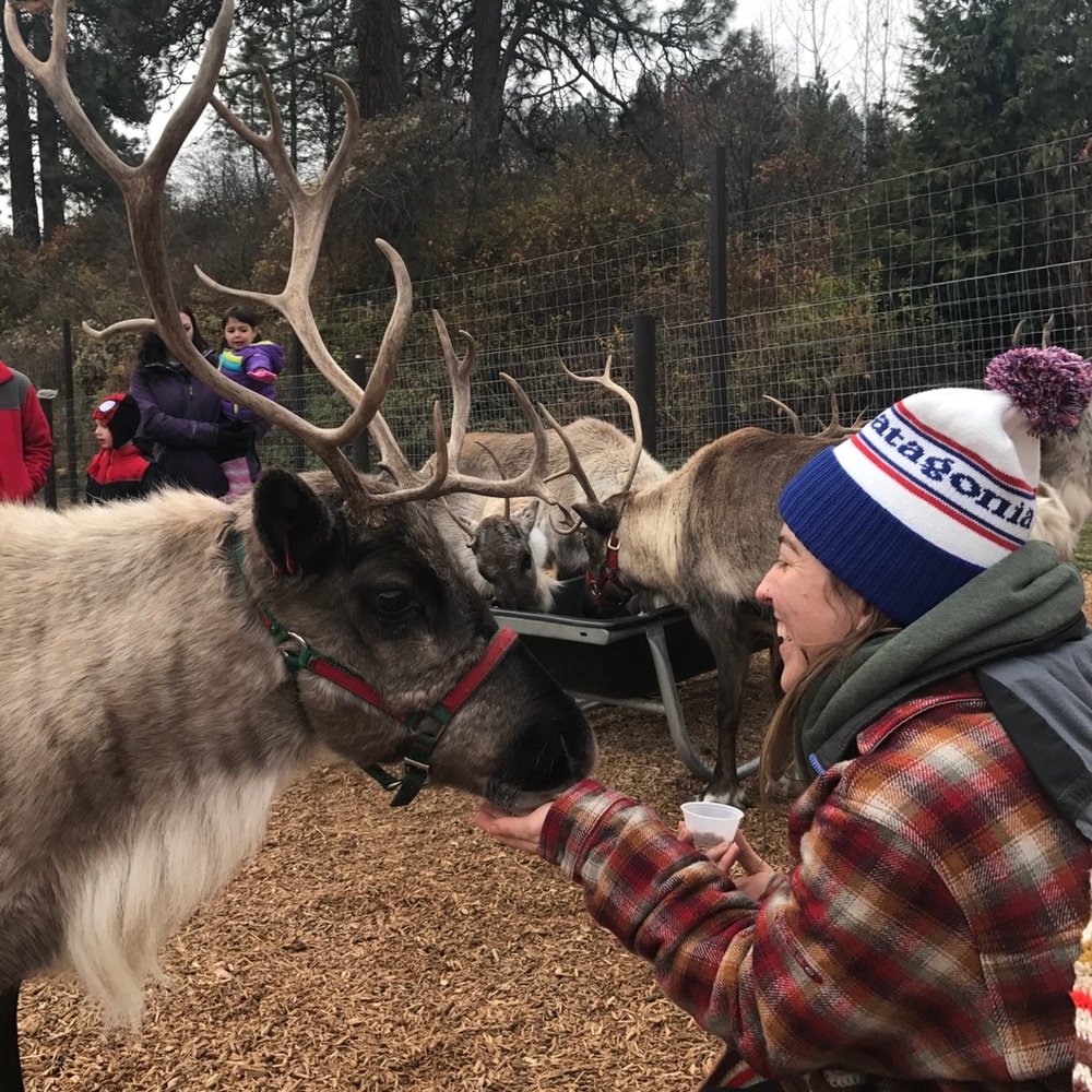 Welcome, Poshers! - Picture 7 of 7