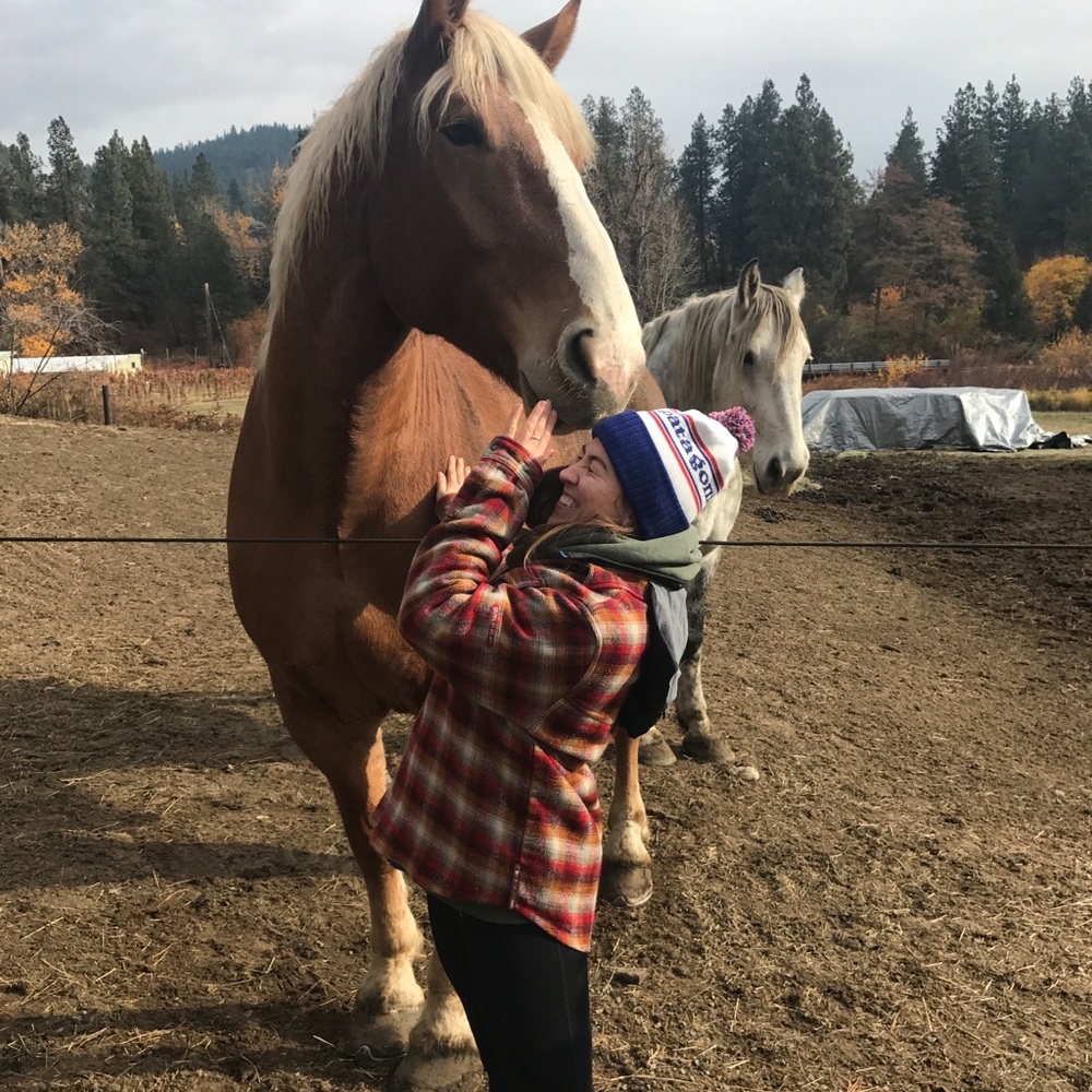 Welcome, Poshers! - Picture 4 of 7