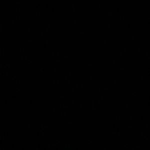 Meet your Posher, Jesse