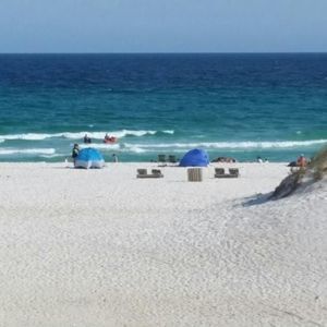 Meet your Posher, Brandi