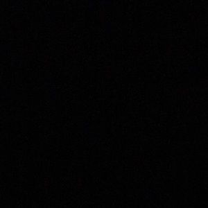 Meet your Posher, Noah