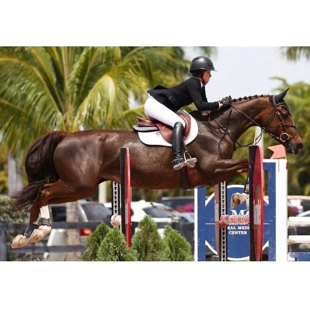 Meet your Posher, Tyler