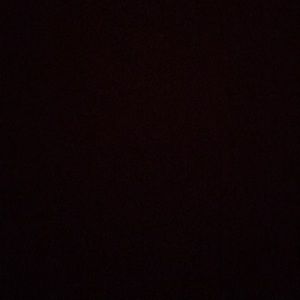 Meet your Posher, Paulette