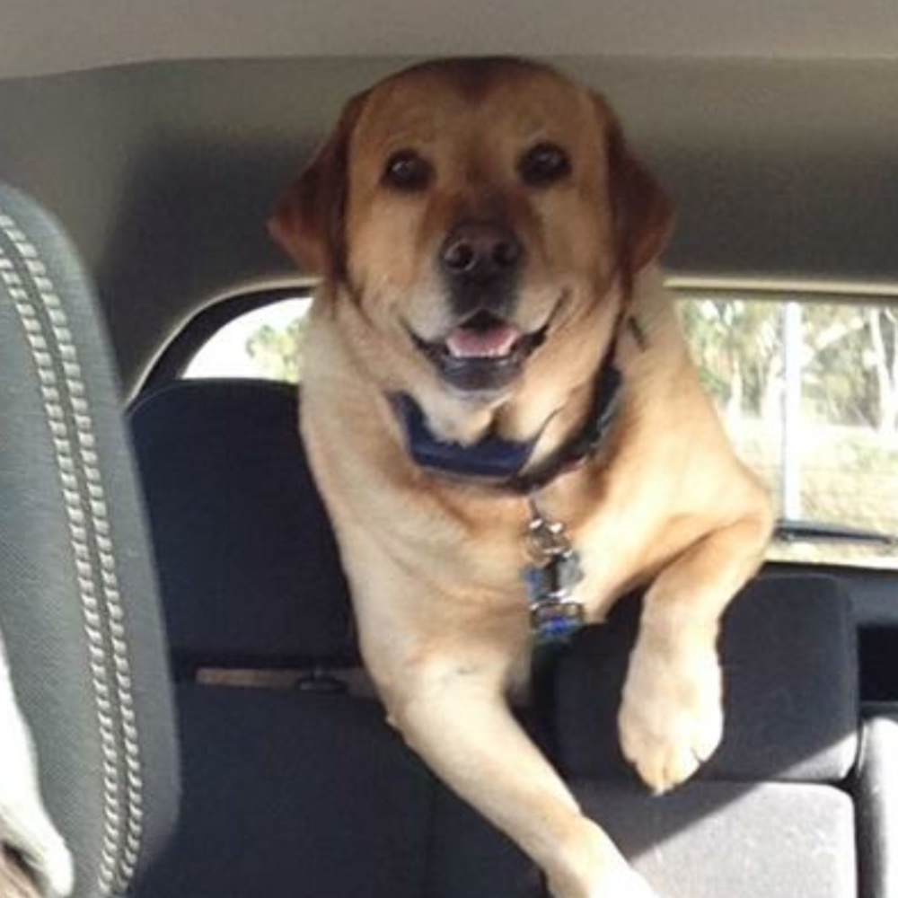 Meet your Posher, Rena