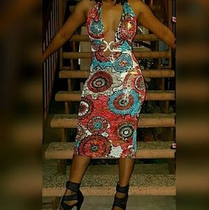 Multi color fitted dress