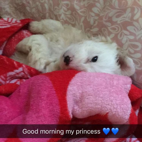 Instagram @Brrrendda , @ppriincess._ - Picture 1 of 3