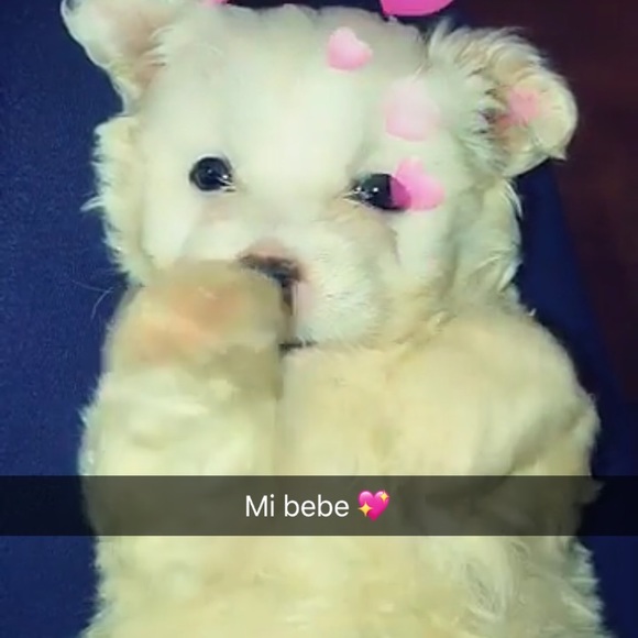 Instagram @Brrrendda , @ppriincess._ - Picture 2 of 3