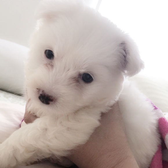 Instagram @Brrrendda , @ppriincess._ - Picture 3 of 3