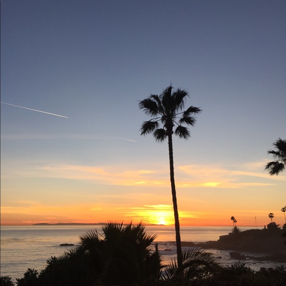 Meet your Posher, Devon - Picture 1 of 1