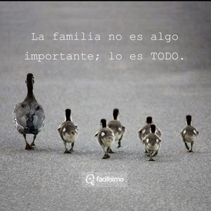 Meet your Posher, Leydi