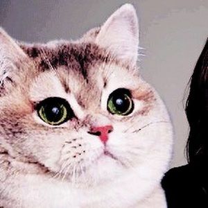 Meet your Posher, Marcel