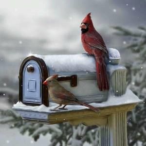 Meet your Posher, Georgette