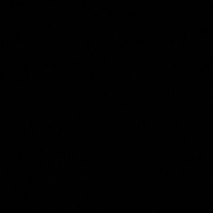 Meet your Posher, Jake