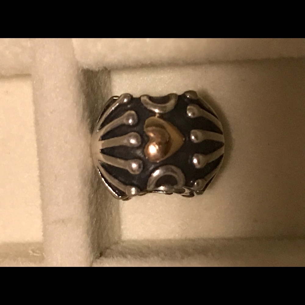 Pandora charm