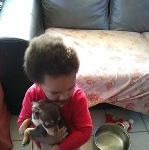 Meet your Posher, Devon