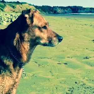 Meet your Posher, Jonathan