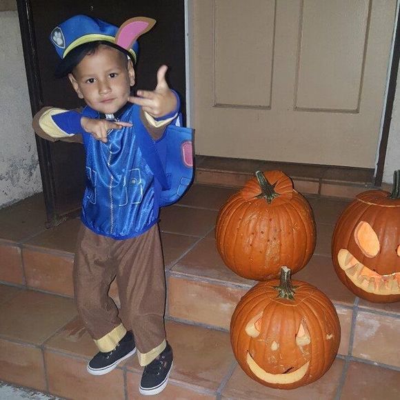 Meet your Posher, Eddie - Picture 1 of 1