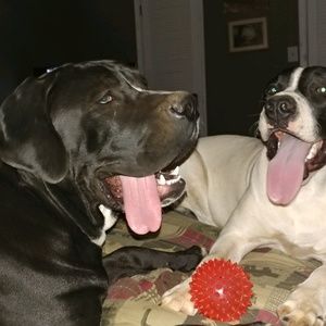 Meet your Posher, Shauna