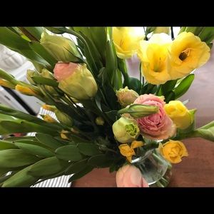 Meet your Posher, Ashlie