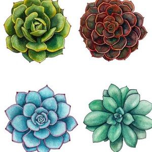 Meet your Posher, Adrianna