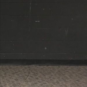 Meet your Posher, Bryce