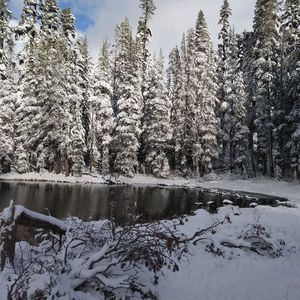 Meet your Posher, Jessie