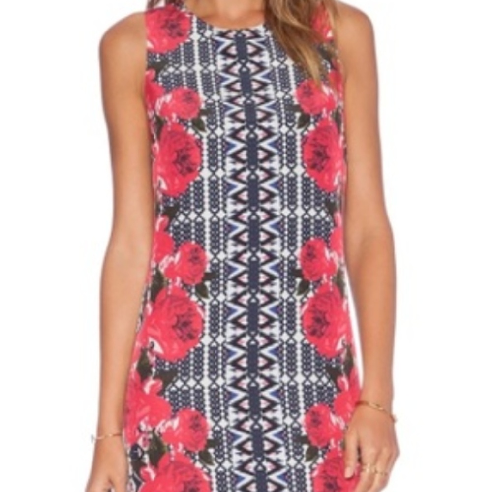 NBD x Naven Twins Twiggy Dress