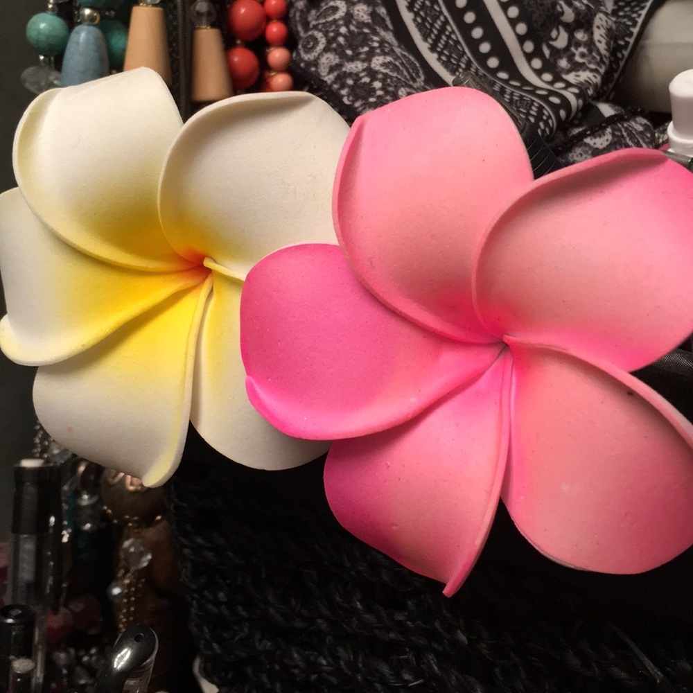 Straight from Hawaii. Two flower clips