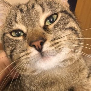 Meet your Posher, Oliwia