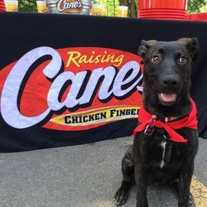 Meet your Posher, Cade