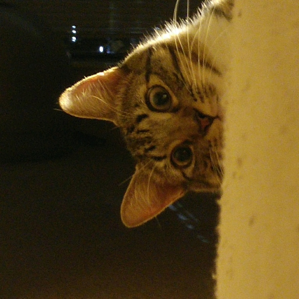 Meet your Posher, April