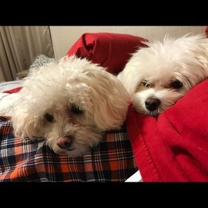 Meet your Posher, Eva