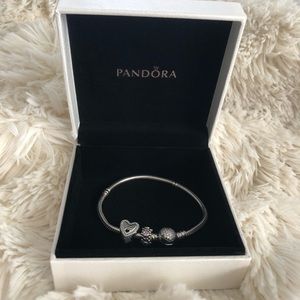 Pandora charm bracelet