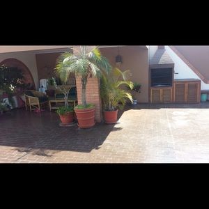 Meet your Posher, Cat