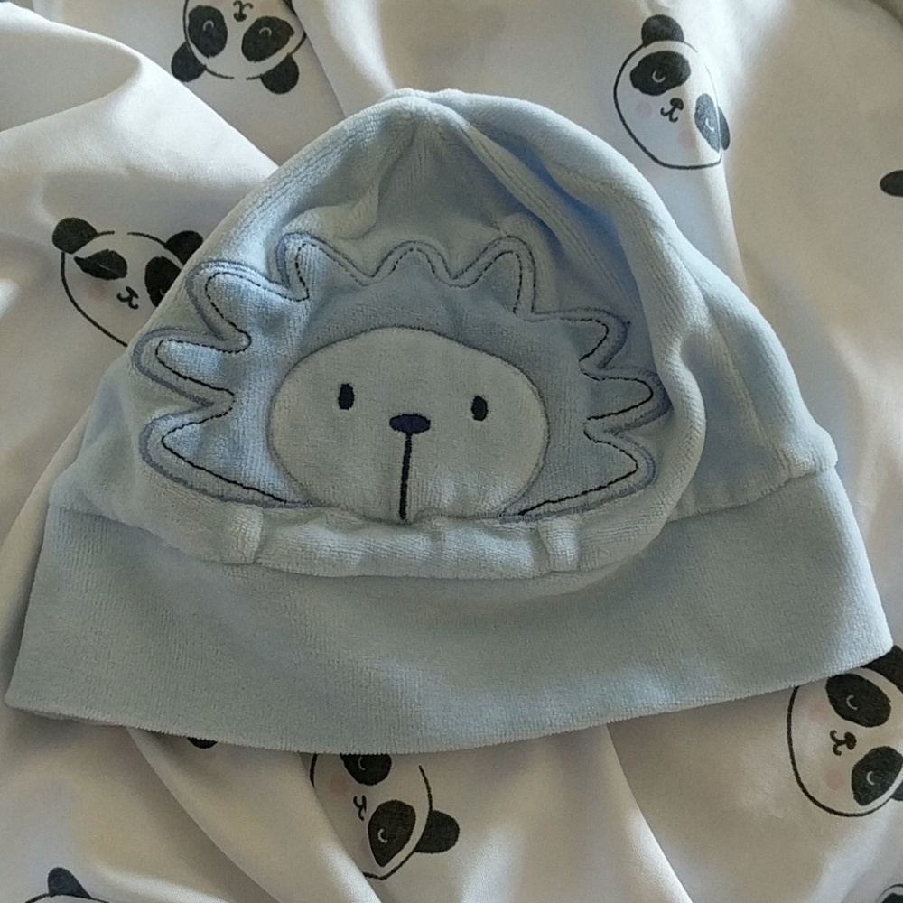 Free in bundle Blue velour hat 0-9 month size