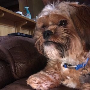 Meet your Posher, Brianna