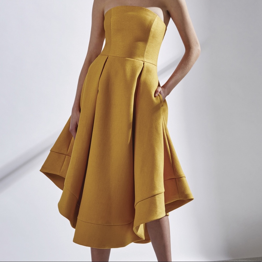 C/Meo Collective Making Waves Dress