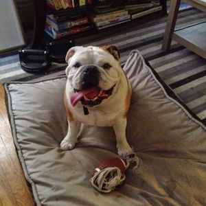 Meet your Posher, Kyle