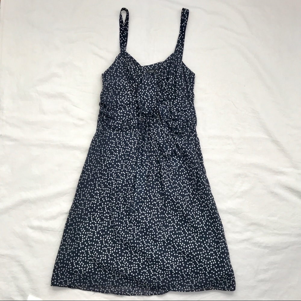 J.Crew Navy Polka Dot Dress