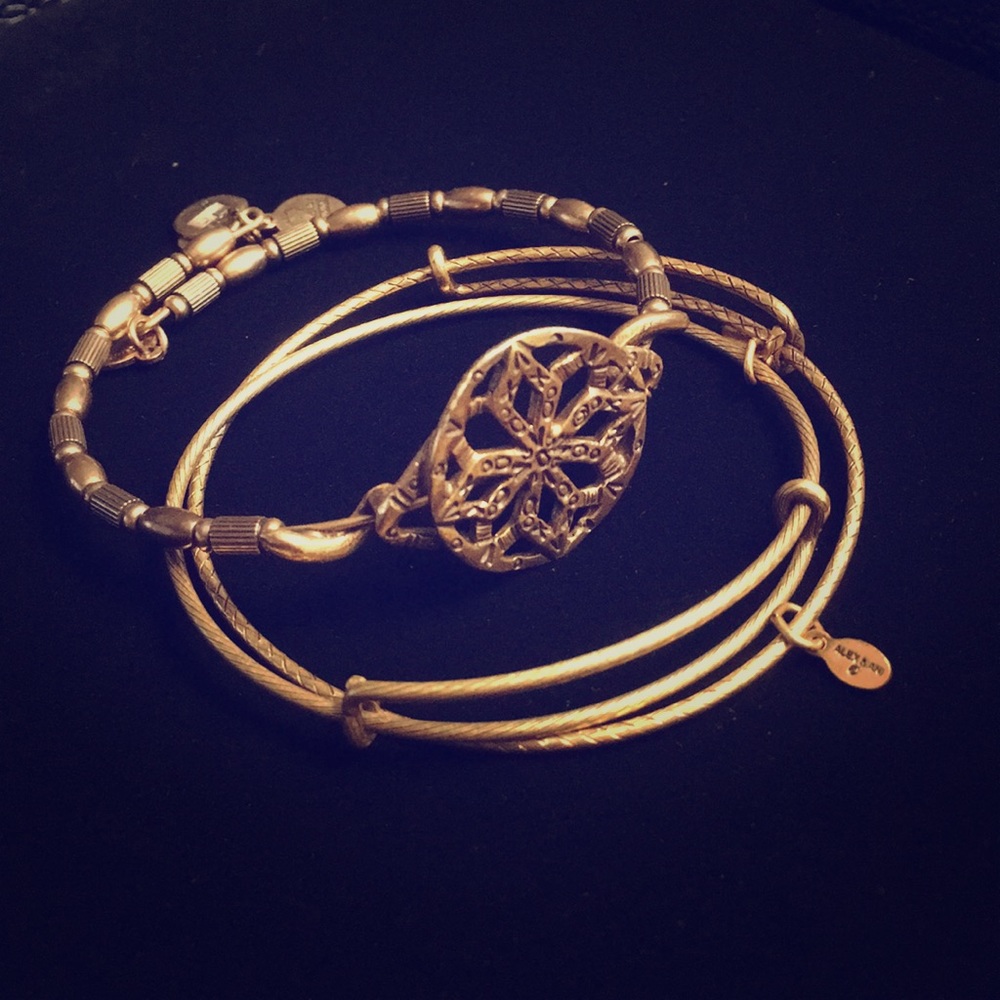 Set of Alex&Ani bangles