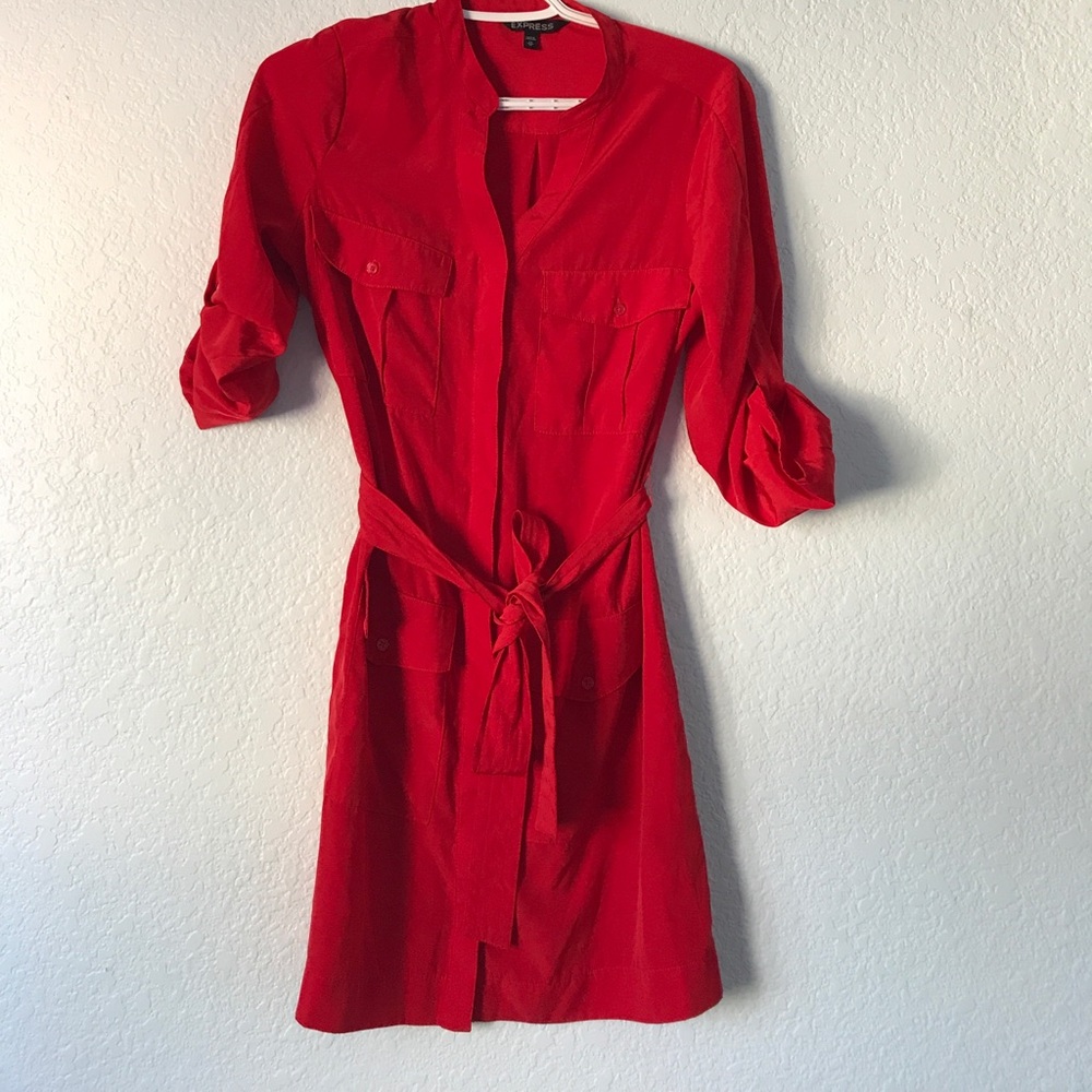 Express Shirt dress