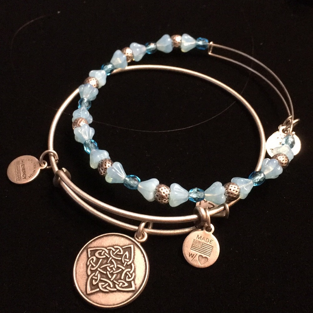 Set of 2 Alex&Ani bangles