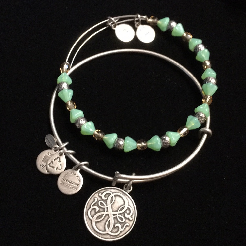 Set of 2 Alex&Ani bangles